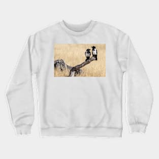 Two pied crow. Crewneck Sweatshirt